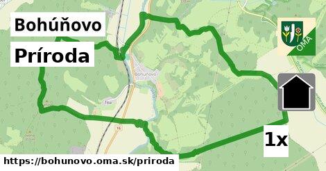 príroda v Bohúňovo