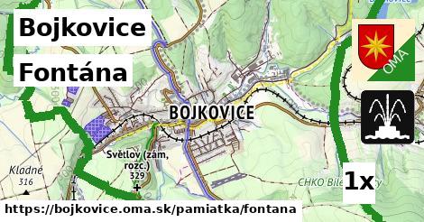 Fontána, Bojkovice