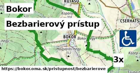 Bezbarierový prístup, Bokor