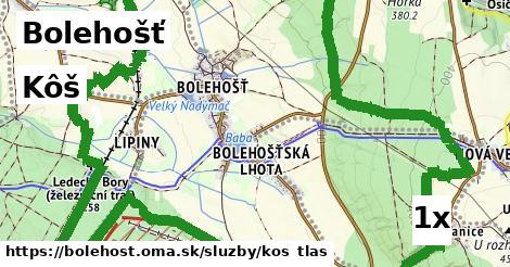 Kôš, Bolehošť
