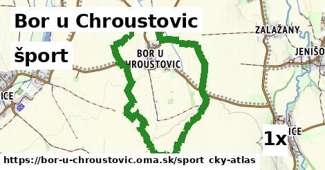 šport v Bor u Chroustovic