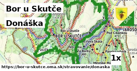 Donáška, Bor u Skutče