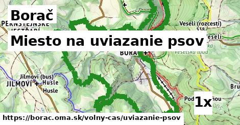 Miesto na uviazanie psov, Borač