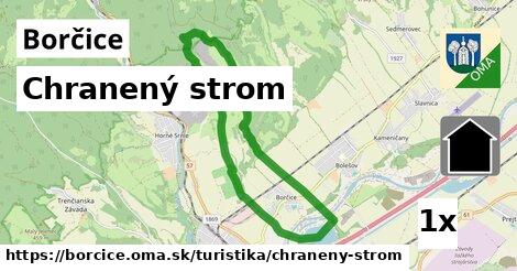 Chranený strom, Borčice