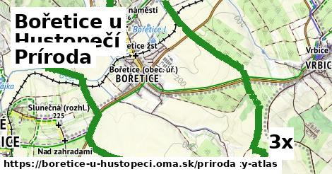 príroda v Bořetice u Hustopečí