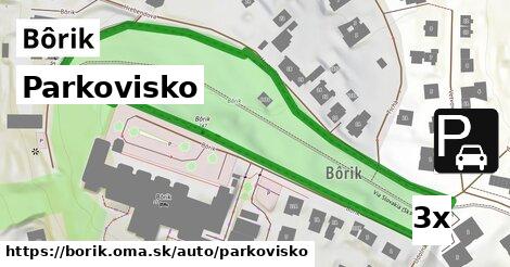Parkovisko, Bôrik