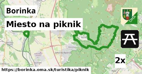 Miesto na piknik, Borinka