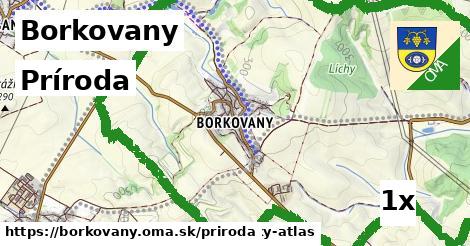 príroda v Borkovany