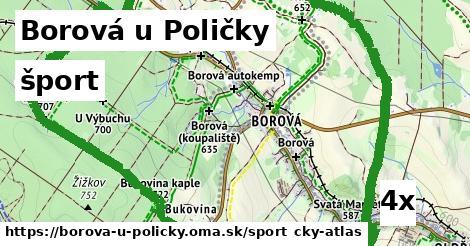 šport v Borová u Poličky