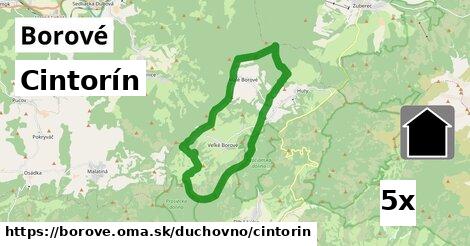 Cintorín, Borové