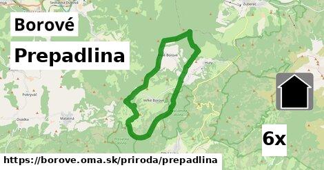 Prepadlina, Borové