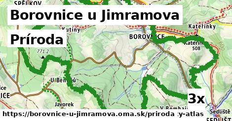 príroda v Borovnice u Jimramova