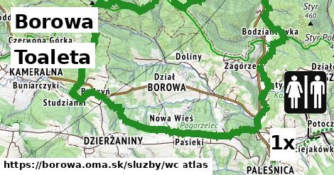 toaleta v Borowa