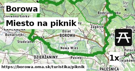 miesto na piknik v Borowa
