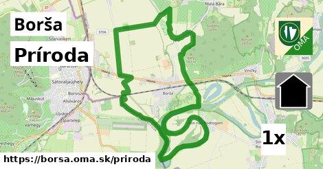 príroda v Borša