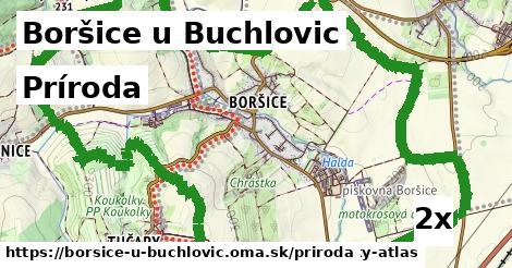 príroda v Boršice u Buchlovic