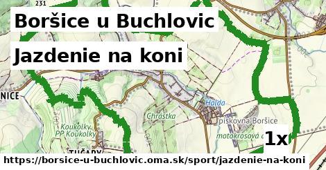 jazdenie na koni v Boršice u Buchlovic