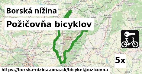 Požičovňa bicyklov, Borská nížina