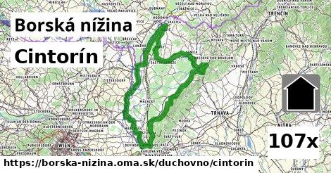 Cintorín, Borská nížina