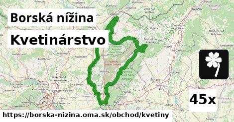 Kvetinárstvo, Borská nížina