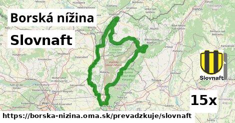 Slovnaft, Borská nížina