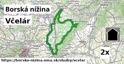 Včelár, Borská nížina