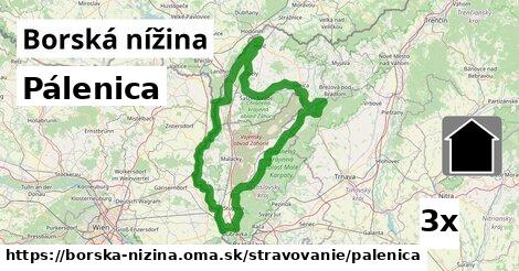 Pálenica, Borská nížina