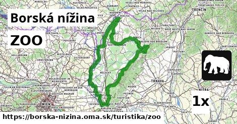 ZOO, Borská nížina