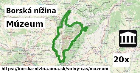 Múzeum, Borská nížina