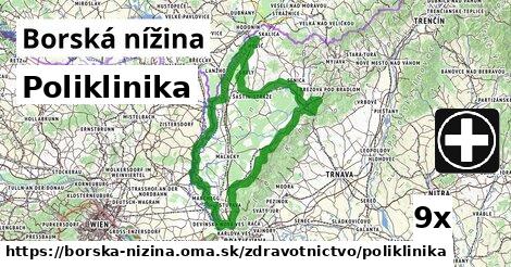 Poliklinika, Borská nížina