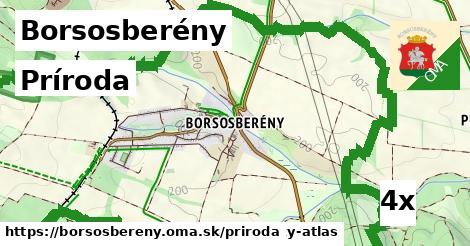 príroda v Borsosberény