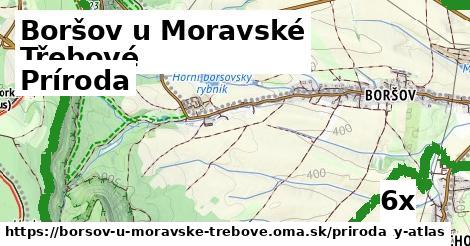 príroda v Boršov u Moravské Třebové