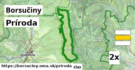 príroda v Borsučiny