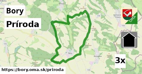 príroda v Bory