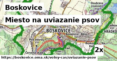 Miesto na uviazanie psov, Boskovice