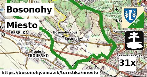 Miesto, Bosonohy