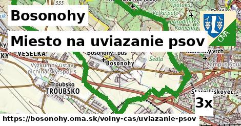 Miesto na uviazanie psov, Bosonohy