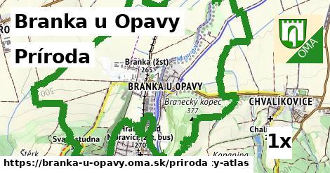 príroda v Branka u Opavy