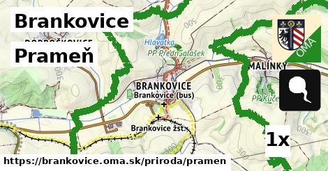 Prameň, Brankovice
