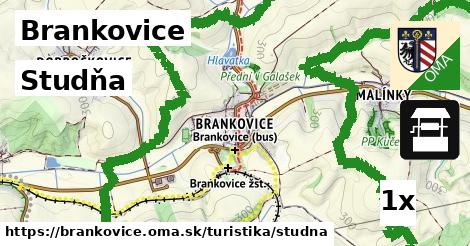 Studňa, Brankovice