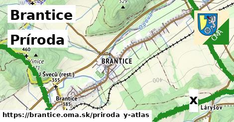 príroda v Brantice