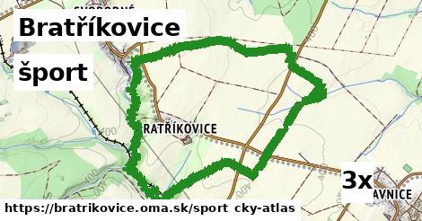 šport v Bratříkovice