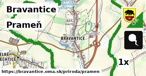 Prameň, Bravantice