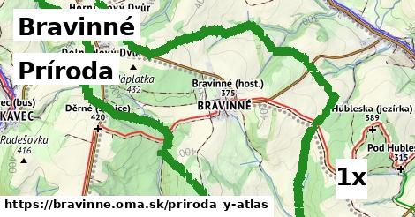 príroda v Bravinné