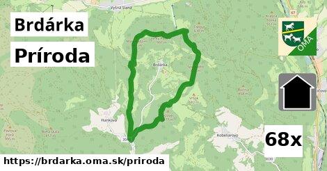 príroda v Brdárka