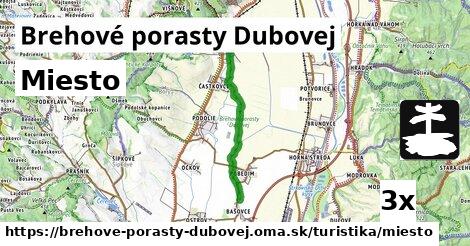 Miesto, Brehové porasty Dubovej