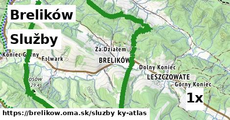 služby v Brelików