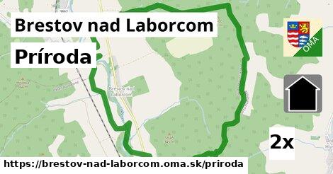 príroda v Brestov nad Laborcom