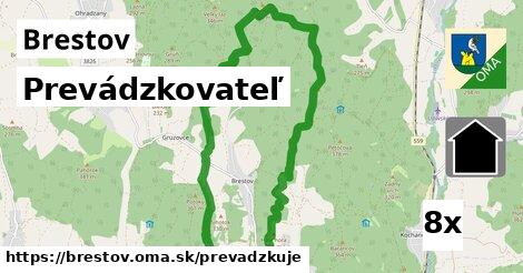 prevádzkovateľ v Brestov