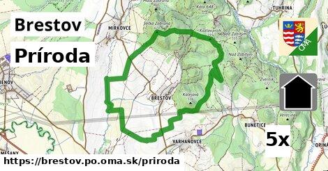 príroda v Brestov, okres PO